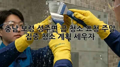 충남 보령 성주면 급 청소 요청? 주말 집중 청소 계획 세우자!