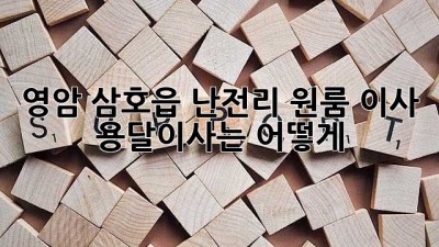 영암 삼호읍 난전리 원룸 이사, 용달이사는 어떻게?